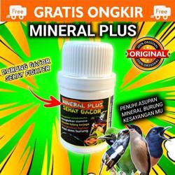 Daftar Gacor Terbaik untuk Burung Kesayangan Anda